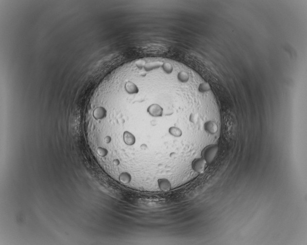 X0000111450745200907271230