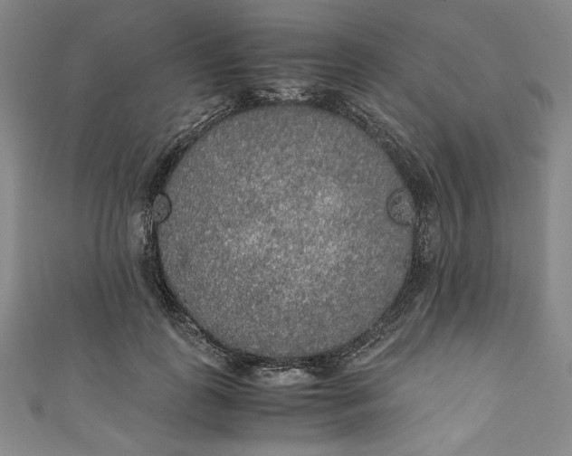 X0000111450747200907271230