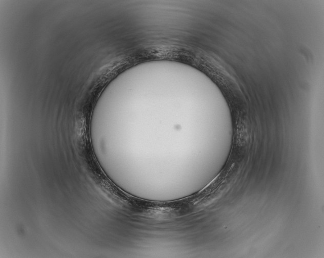 X0000111450748200907271230