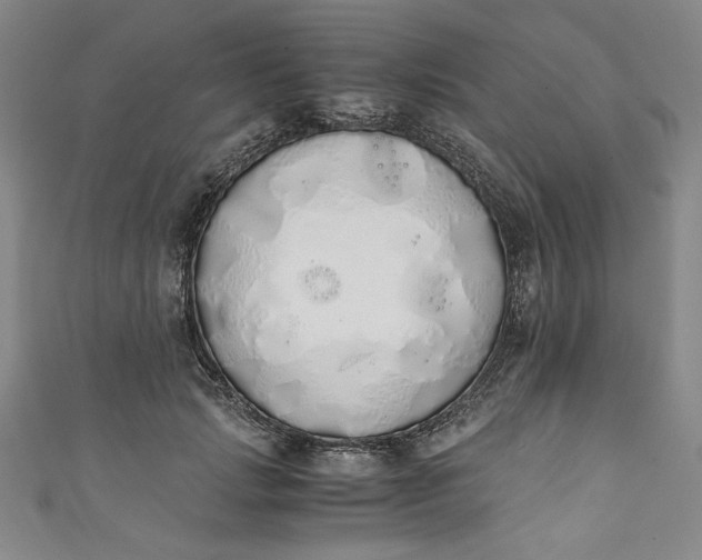 X0000111450749200907271230