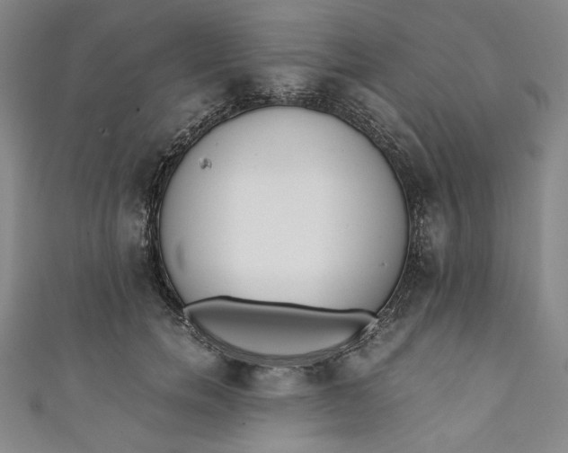 X0000111450750200907271230