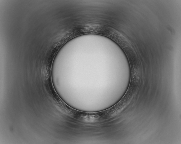 X0000111450751200907271230