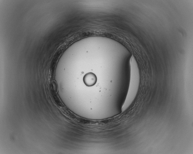X0000111450752200907271230