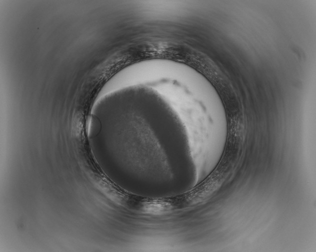 X0000111450754200907271230