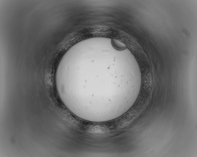 X0000111450755200907271230