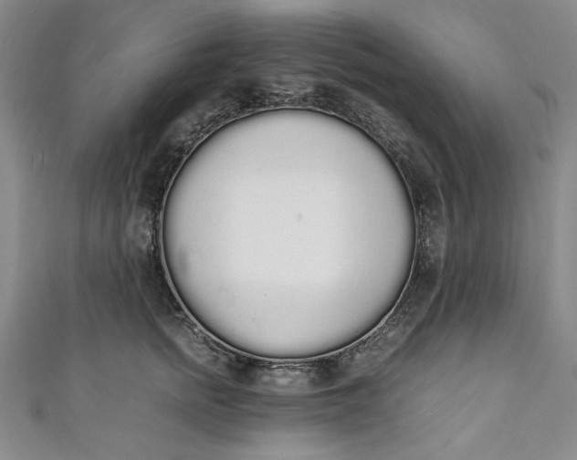 X0000111450758200907271230