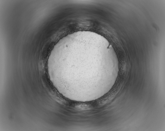 X0000111450759200907271230