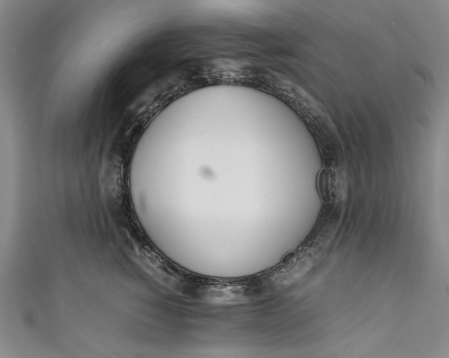 X0000111450760200907271230