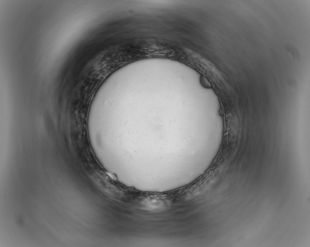 X0000111450761200907271230