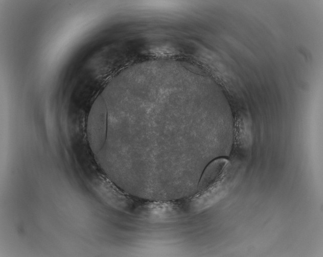 X0000111450762200907271230