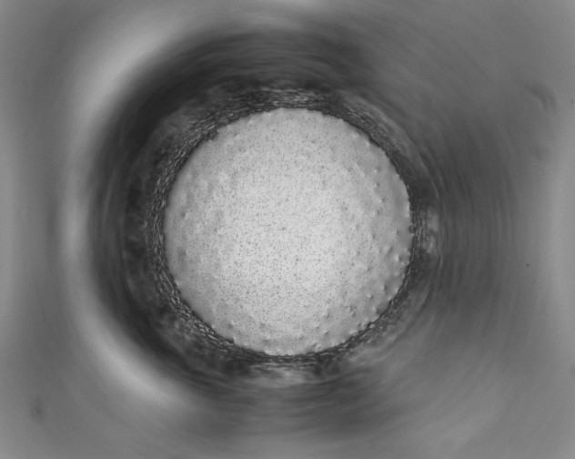 X0000111450763200907271230