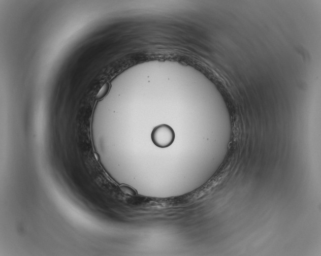 X0000111450764200907271230
