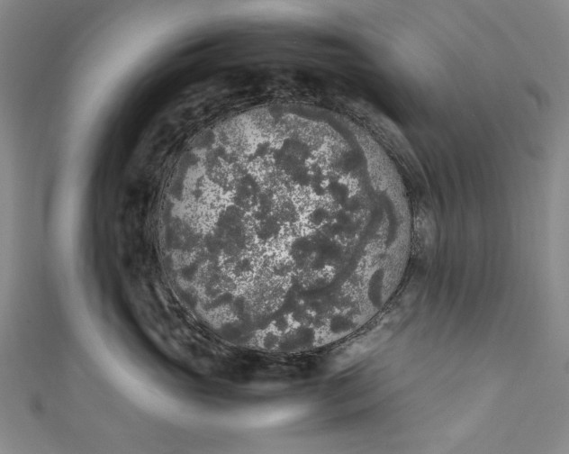 X0000111450765200907271230