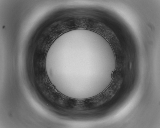 X0000111450766200907271230