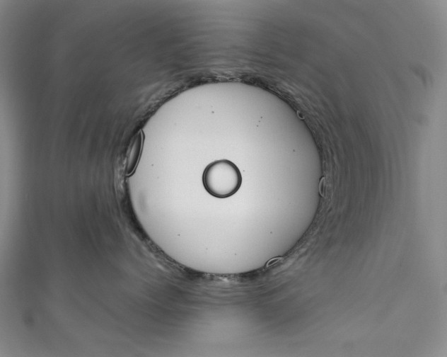 X0000111450768200907271230