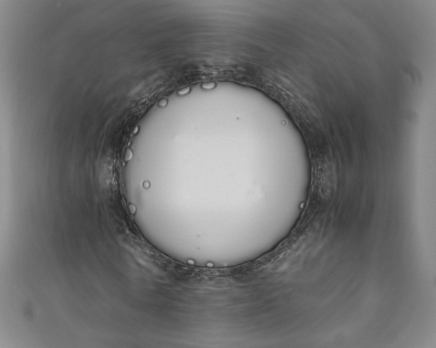 X0000111450770200907271230