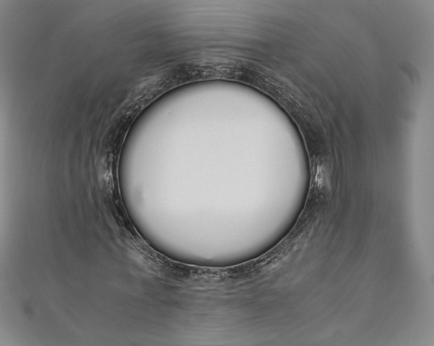 X0000111450771200907271230