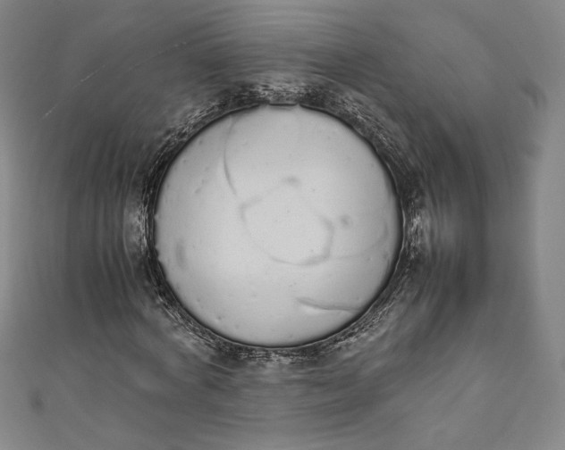 X0000111450772200907271230