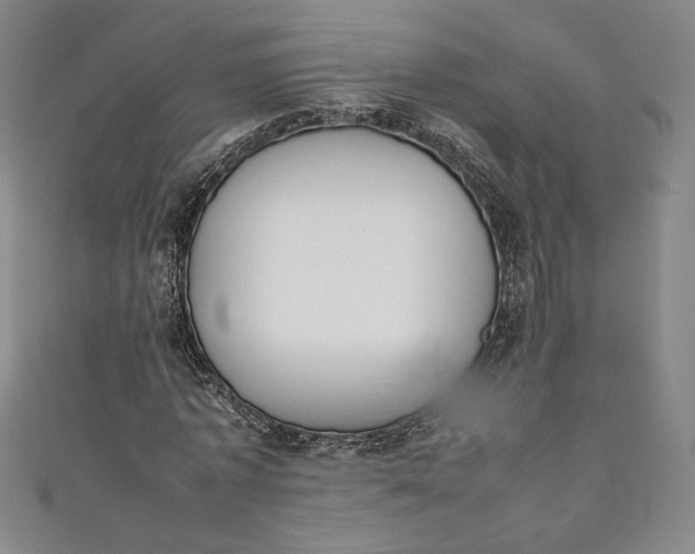 X0000111450773200907271230