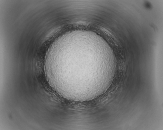 X0000111450774200907271230