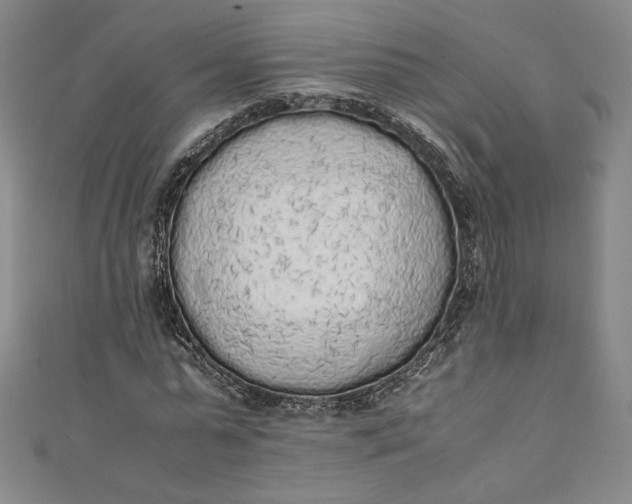 X0000111450775200907271230