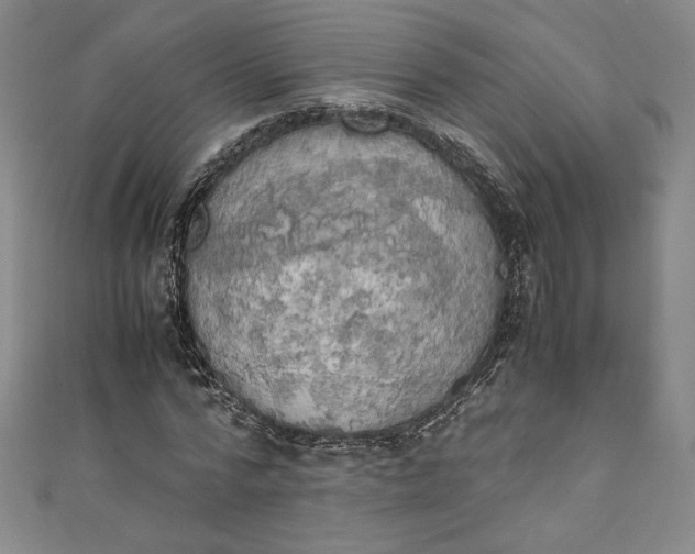 X0000111450776200907271230