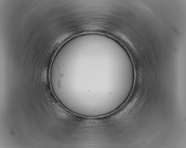 X0000111450777200907271230