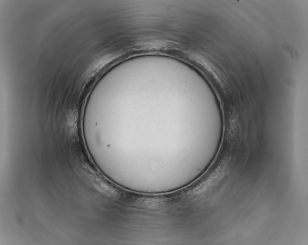 X0000111450778200907271230