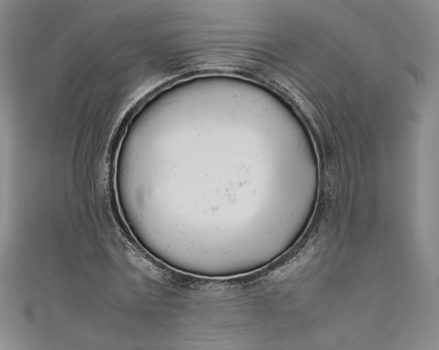 X0000111450779200907271230
