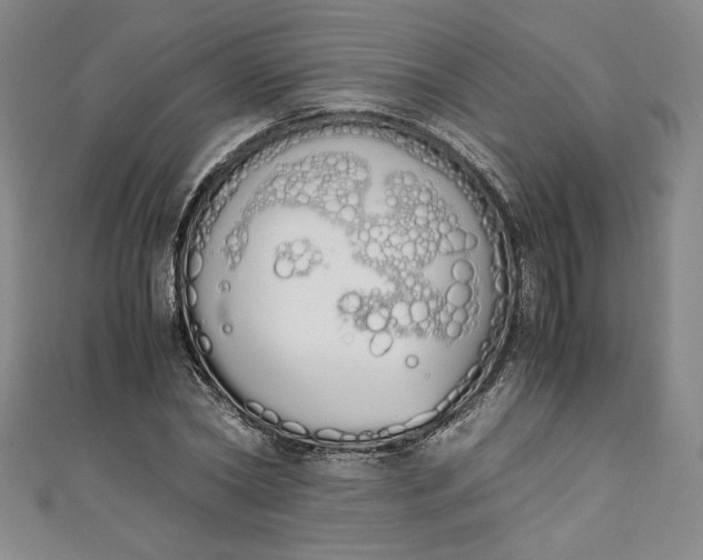X0000111450782200907271230