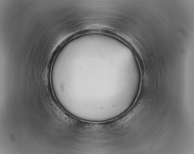 X0000111450783200907271229