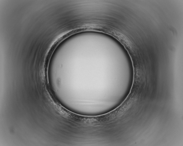X0000111450784200907271229