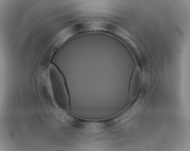 X0000111450785200907271229