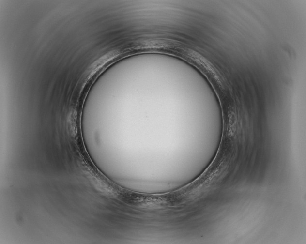 X0000111450786200907271229
