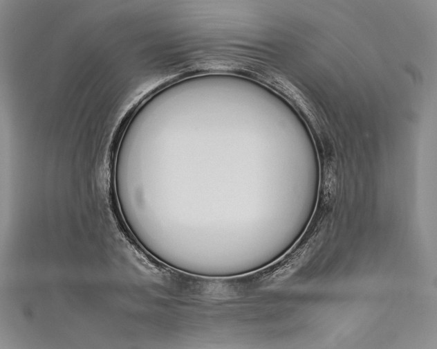 X0000111450787200907271229