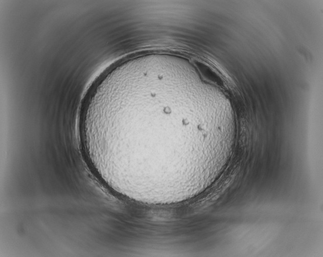 X0000111450788200907271229