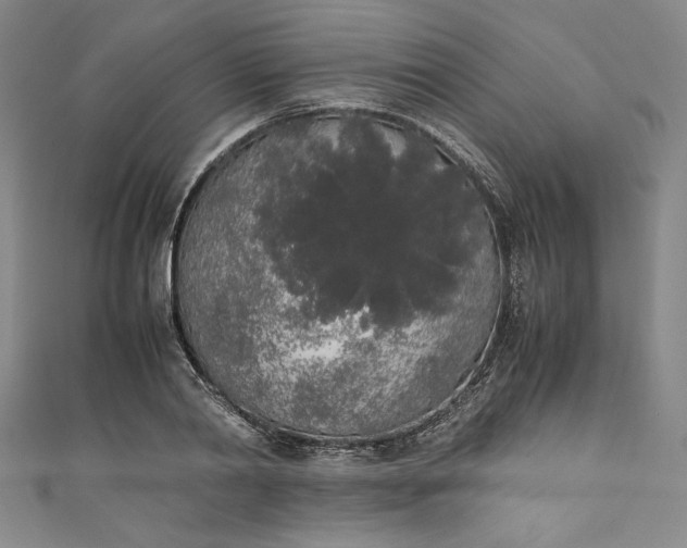 X0000111450790200907271229
