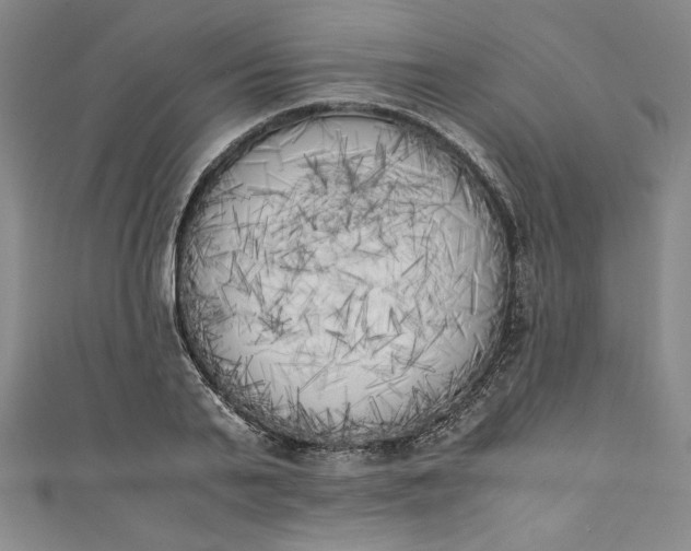 X0000111450791200907271229