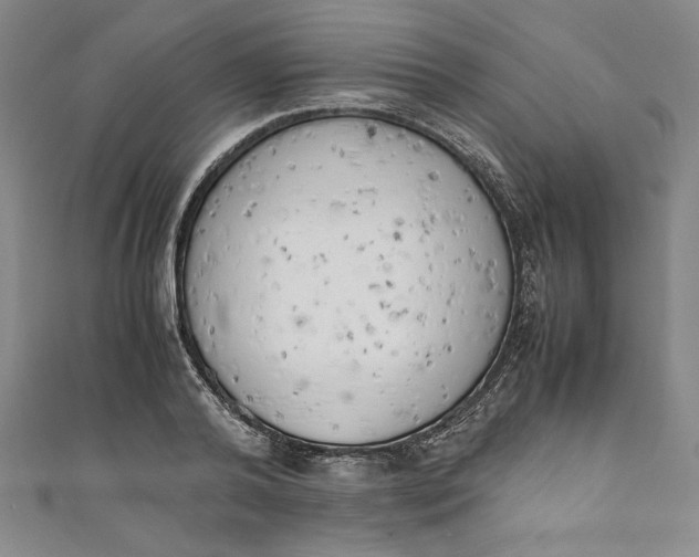 X0000111450792200907271229