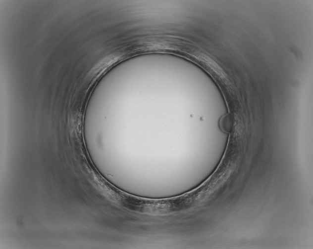 X0000111450793200907271229