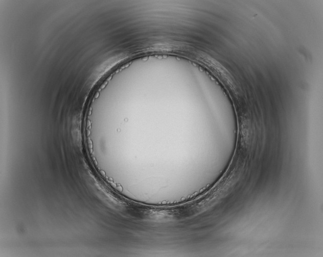 X0000111450794200907271229