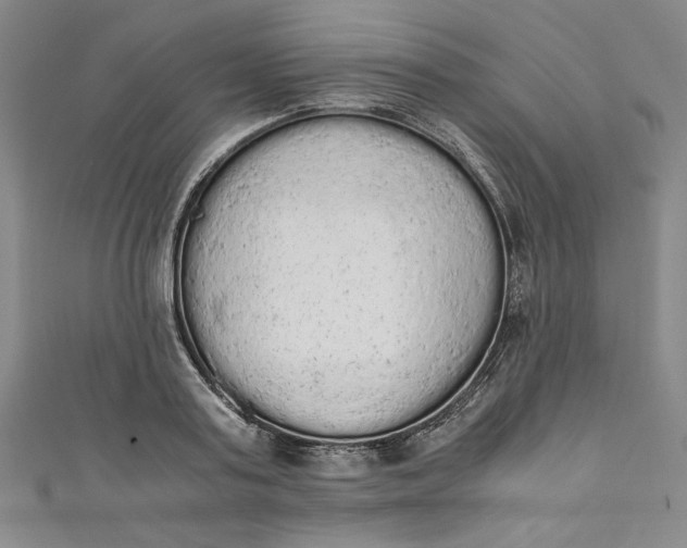X0000111450795200907271229