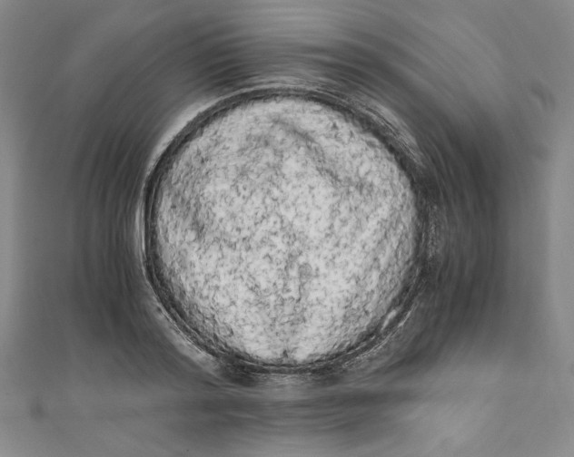 X0000111450796200907271229