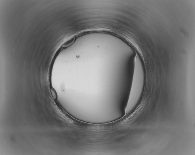 X0000111450797200907271229