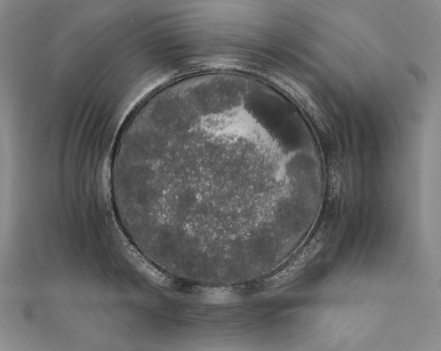 X0000111450798200907271229