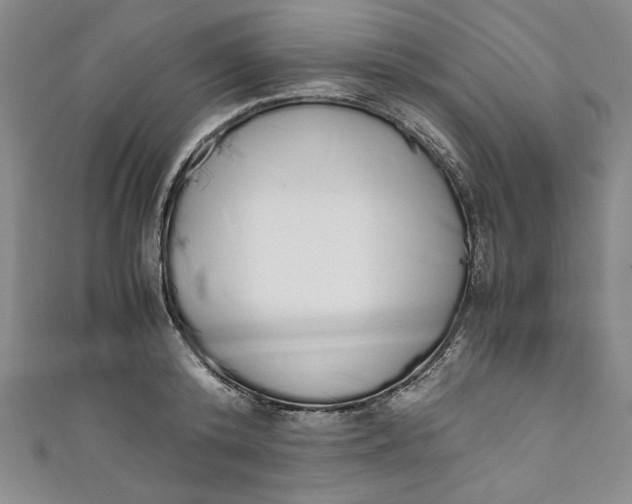 X0000111450800200907271229