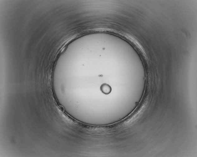 X0000111450801200907271229