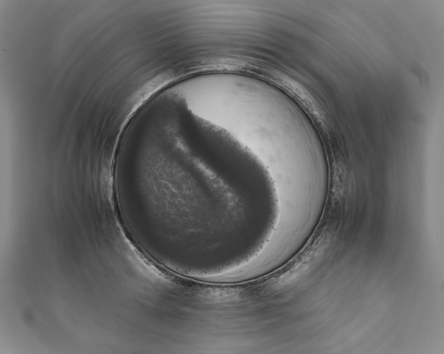 X0000111450802200907271229