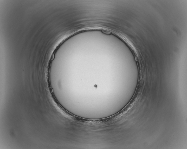 X0000111450805200907271229