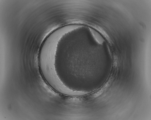 X0000111450806200907271229